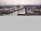 Seward small boat harbour with visiting cruise ship in the background.